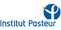 Institut Pasteur