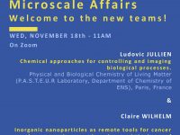 Microscale Affairs Novembre 2020